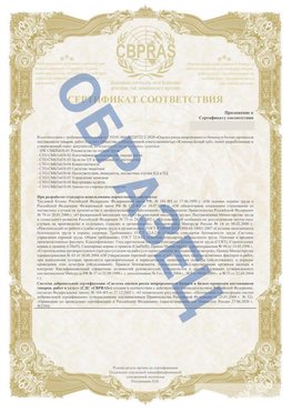 Образец Приложение к СТО 01.064.00220722.2-2020 Спасск-Дальний Сертификат СТО 01.064.00220722.2-2020 